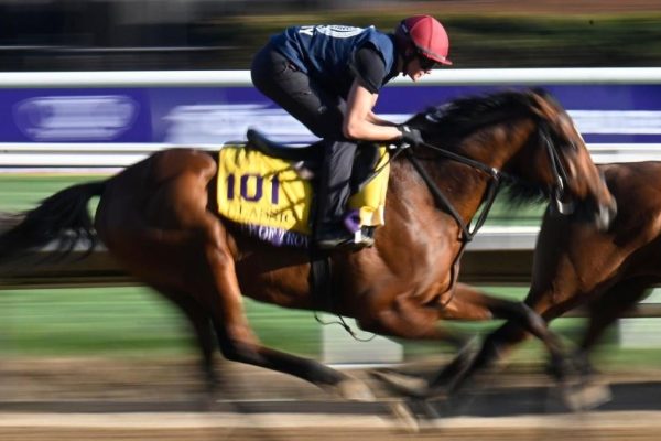 Kentucky Derby 2025 Odds, Post Positions & Expert Picks: Journalism, Rodriguez, Sandman Predictions