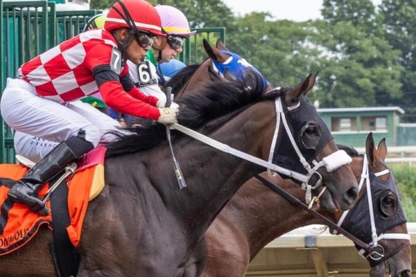 Top Apps to Bet on the Preakness: TwinSpires, FanDuel Racing, and 1/ST BET Reviewed