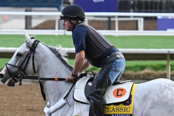 Betting Guide for Belmont Stakes 2025: Top Apps, Promos, and Where to Wager Including TwinSpires & FanDuel Racing